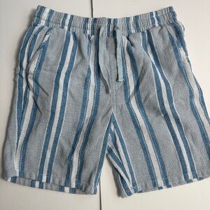 Blue Striped Men's Shorts